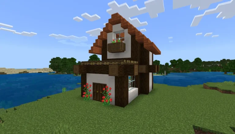 Minecraft House Build